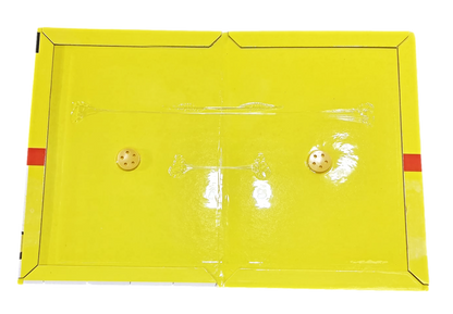 QuickCatch Rat & Mouse Glue Boards Poison Free 32 x 22 cm 900023 / TR003 (Parcel Rate)